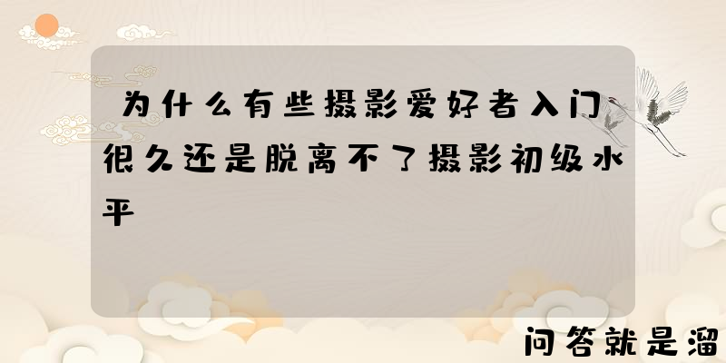 为什么有些摄影爱好者入门很久还是脱离不了摄影初级水平？